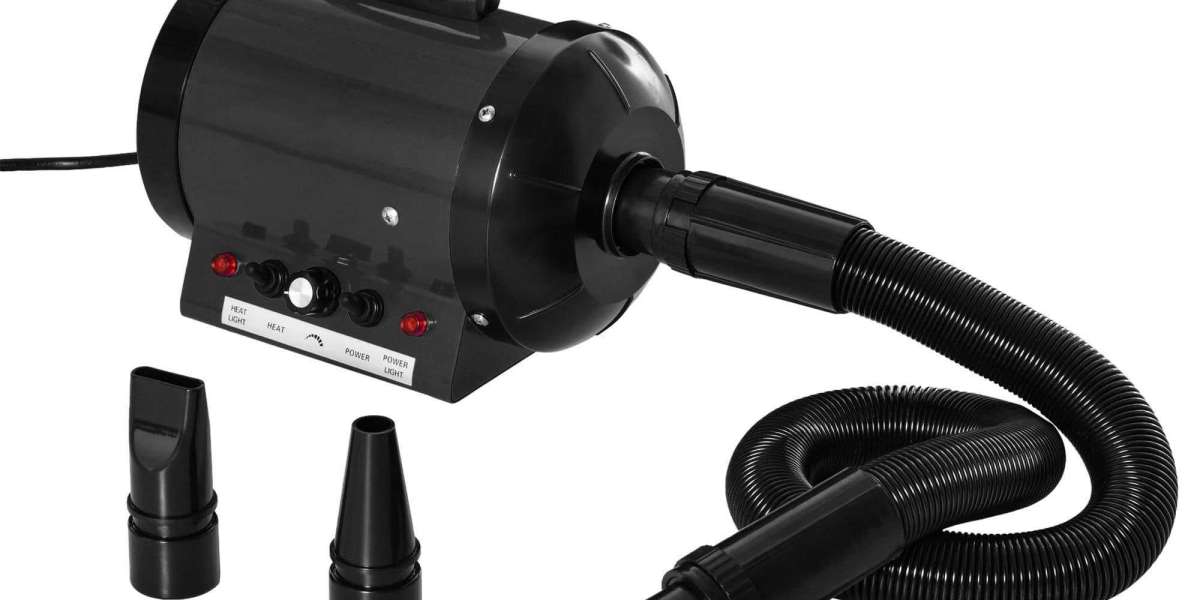 Can Pawtechpet Pet Dryer Improve Hygiene and Safety